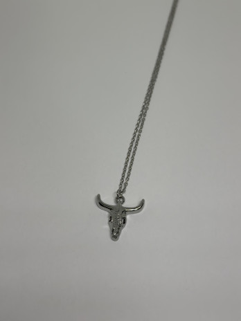 COLLAR BÚFALO PLATA